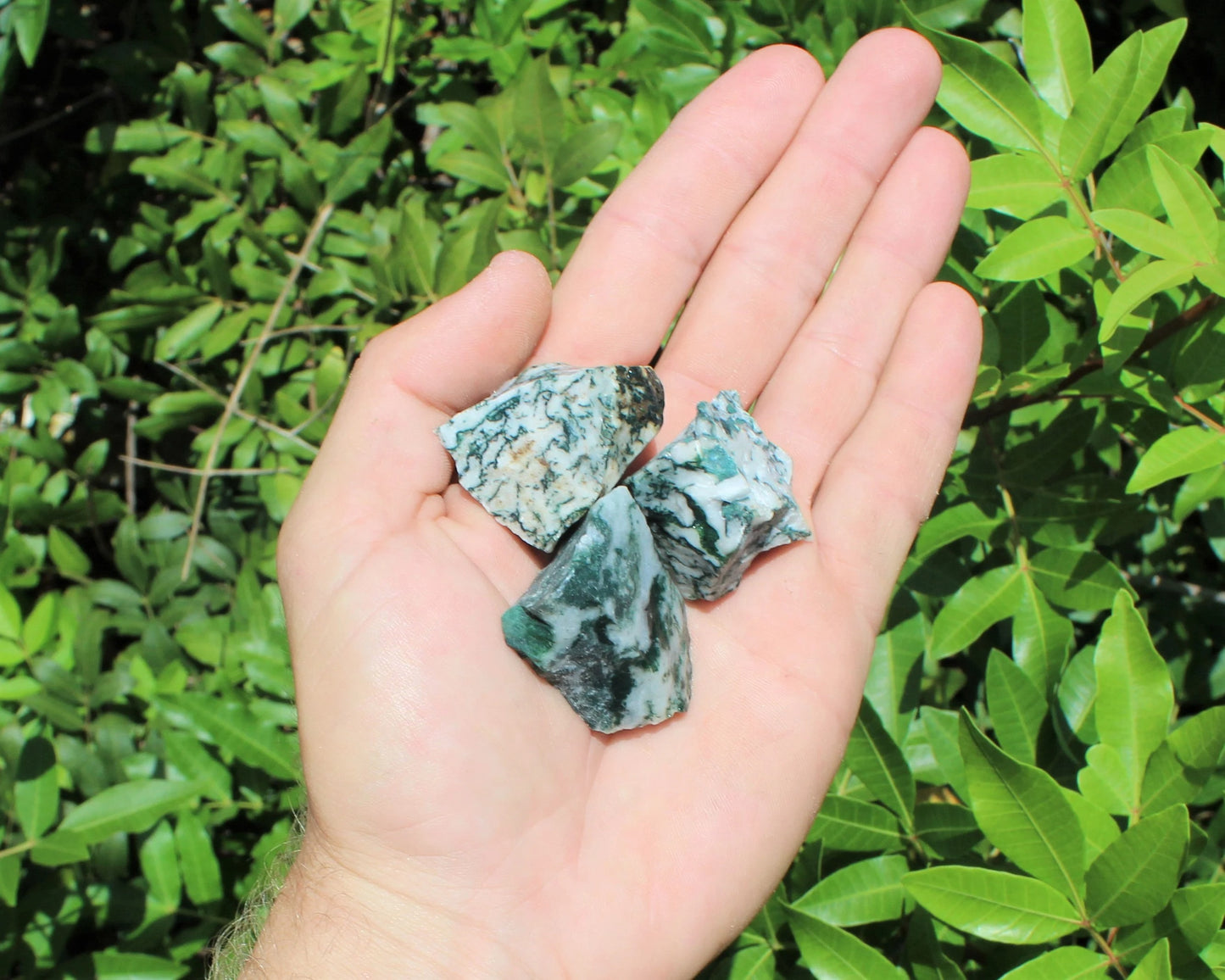 Tree Agate Rough Natural Stones
