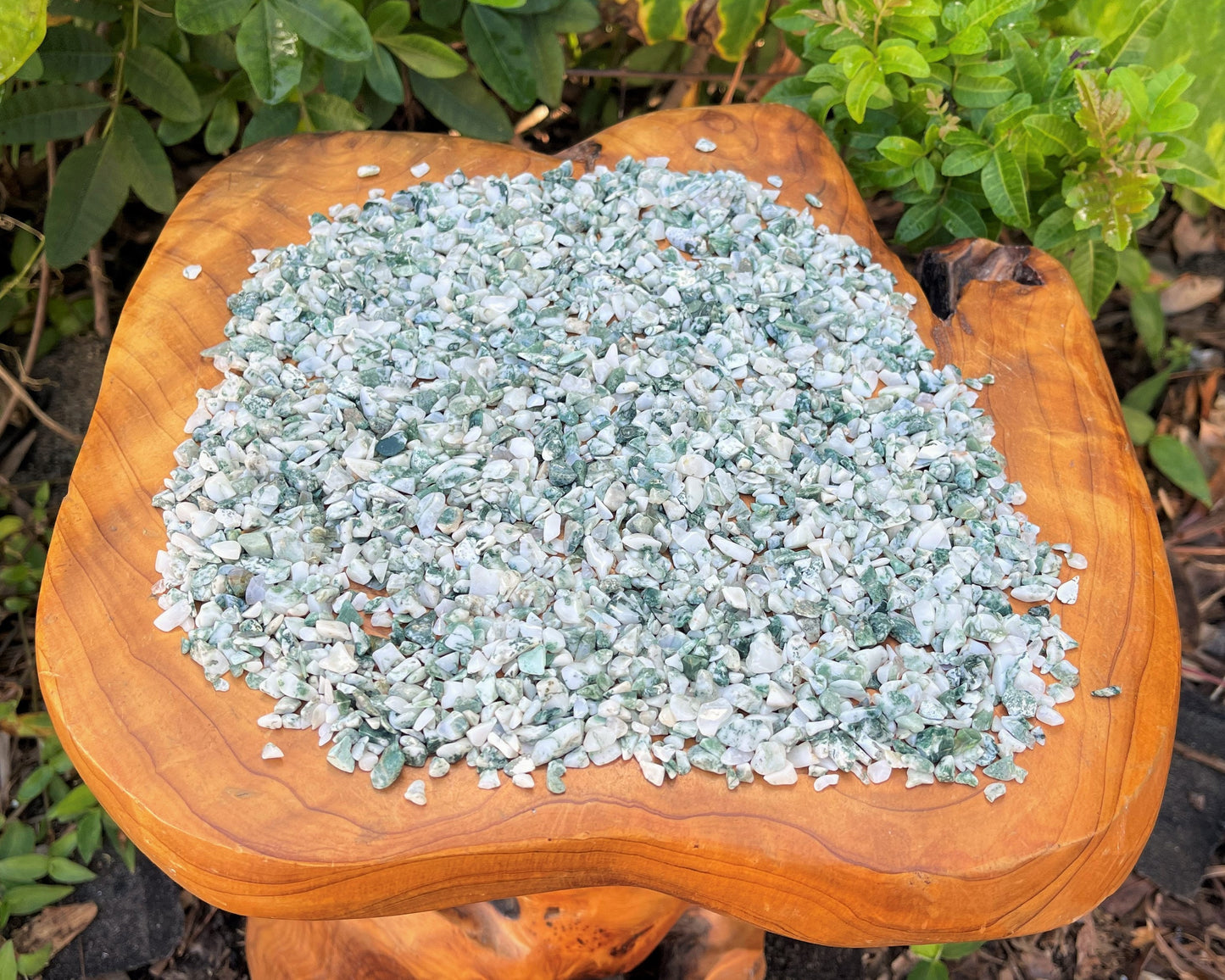 Tree Agate Semi Tumbled Gemstone Mini Chips