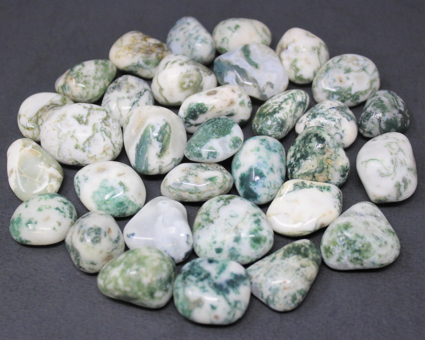 Tree Agate Tumbled Stones