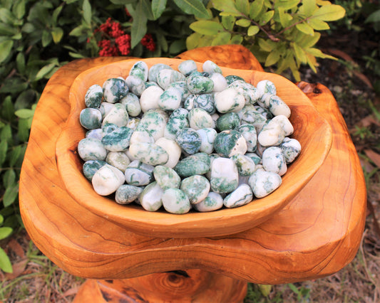 Tree Agate Tumbled Stones