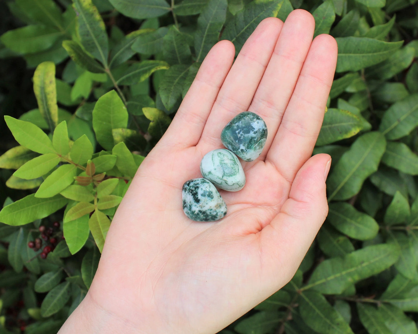 Tree Agate Tumbled Stones