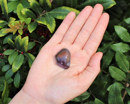 Elegant Botswana Tumbled Stone