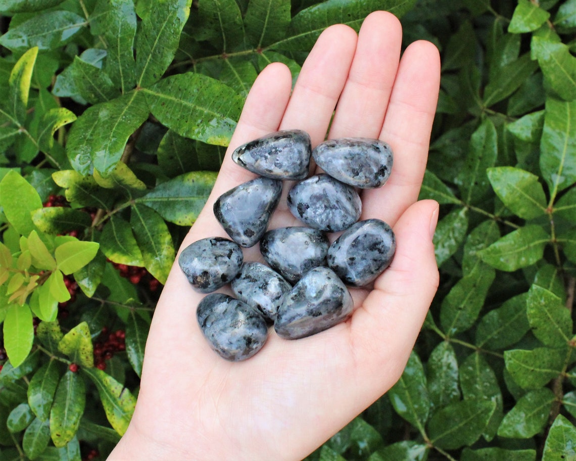 Tumbled Larvikite Stones