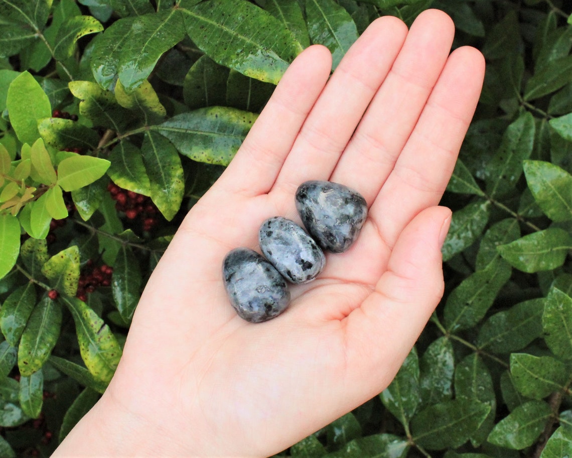 Tumbled Larvikite Stones