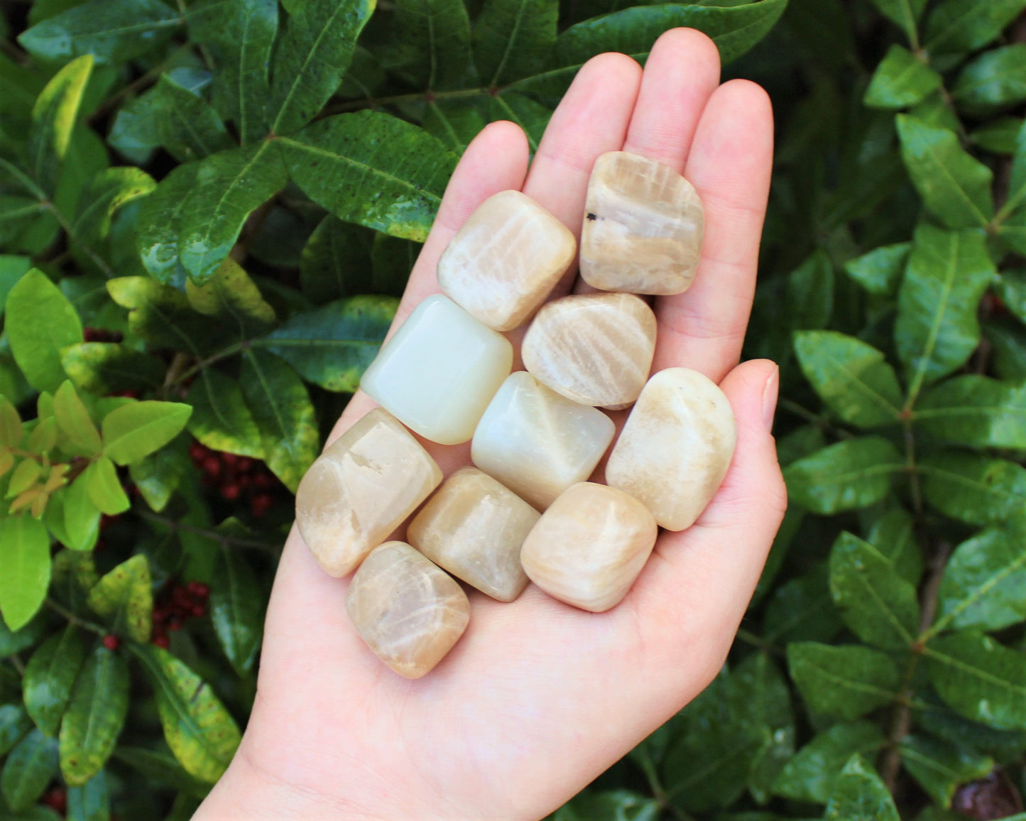 Tumbled Moonstone Stones