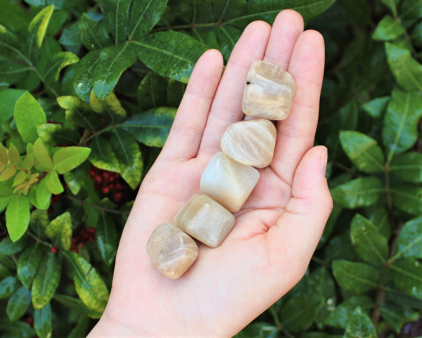 Tumbled Moonstone Stones