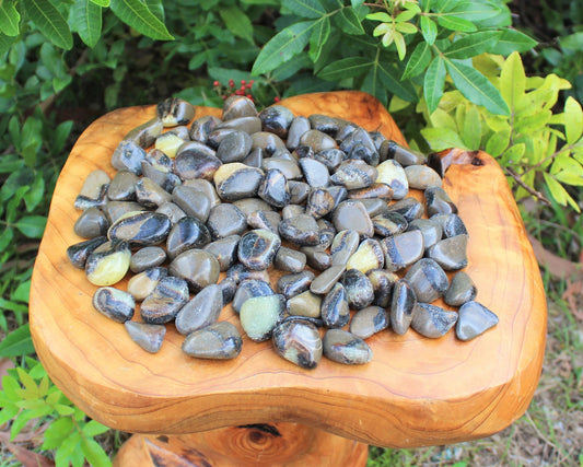 Tumbled Septarian Stones