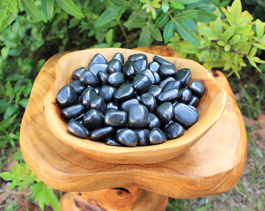 Tumbled Shungite Stones