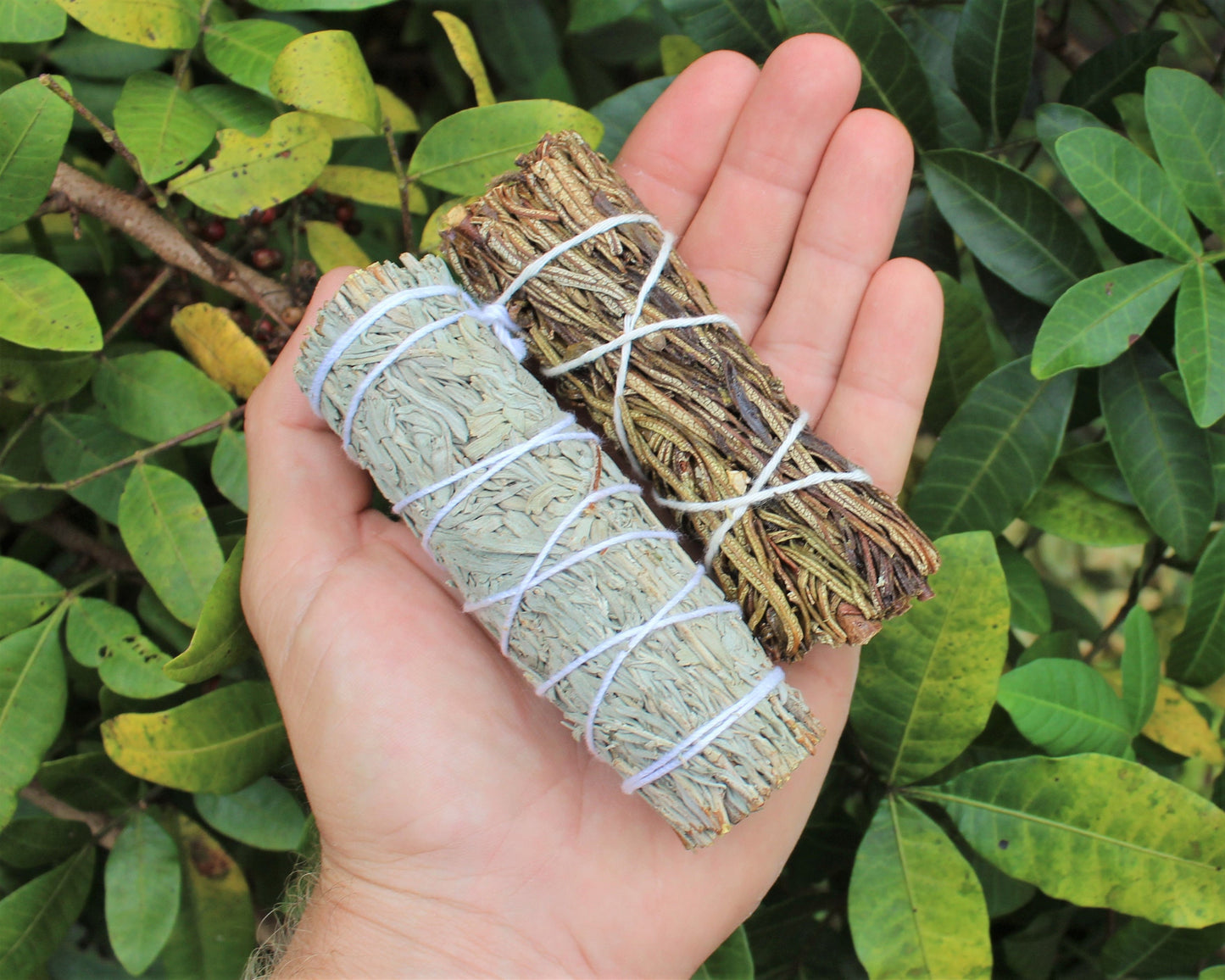 Two Sage Smudge Sticks Sampler