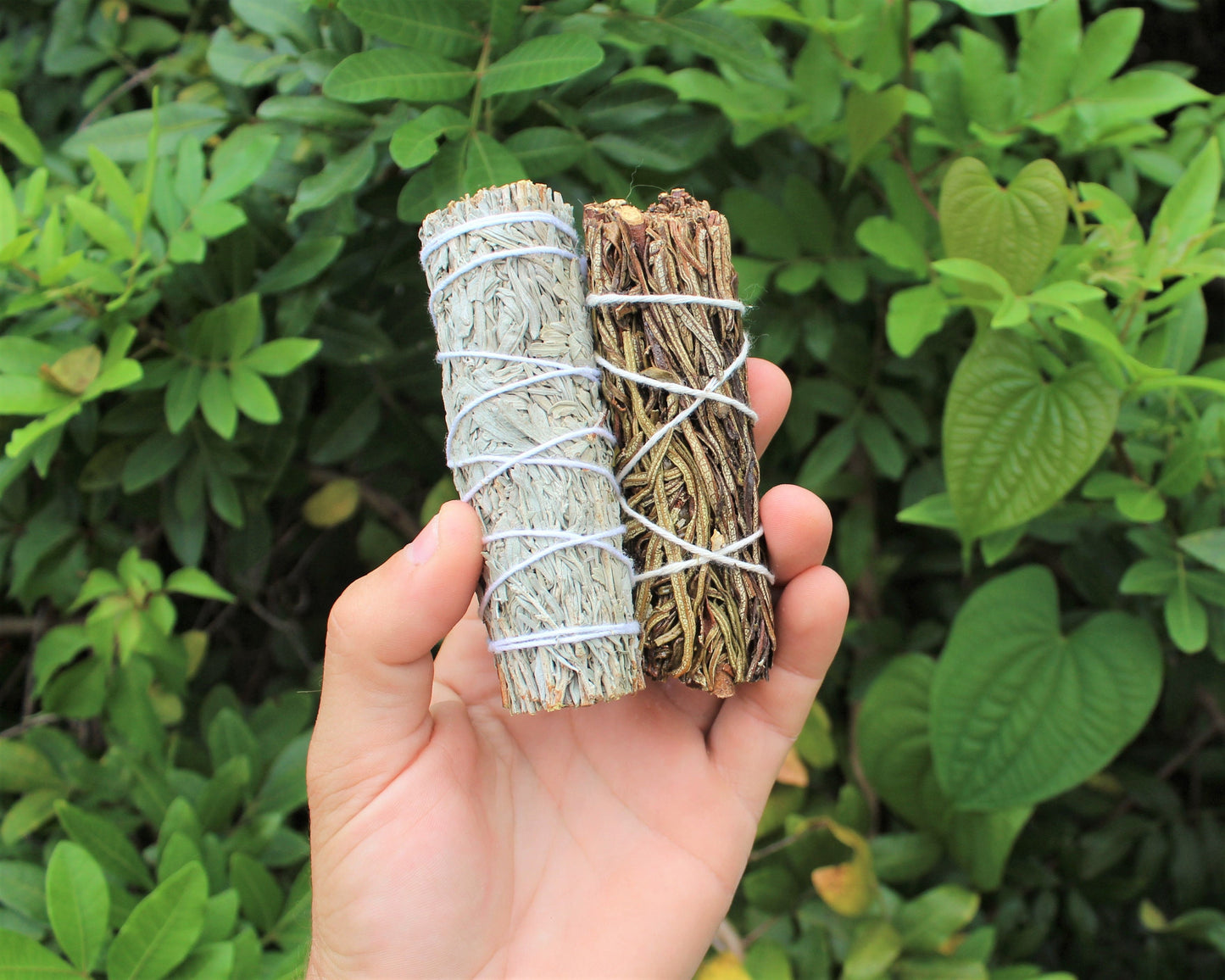 Two Sage Smudge Sticks Sampler