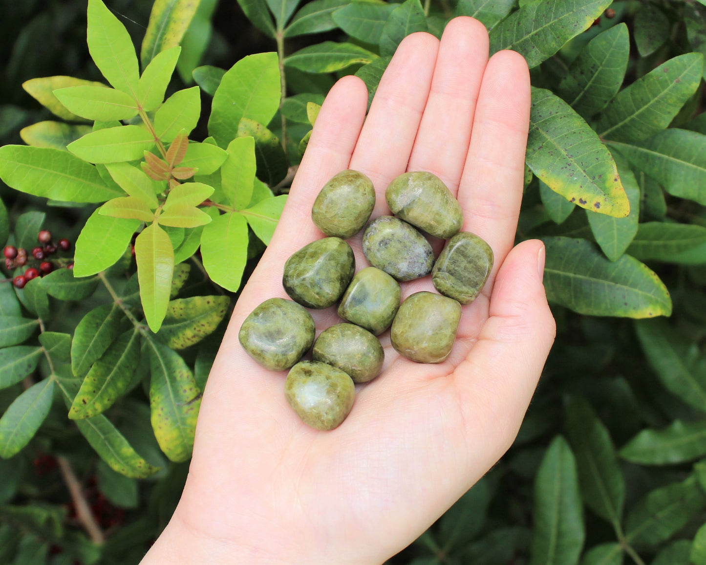 Vesuvianite Tumbled Stones