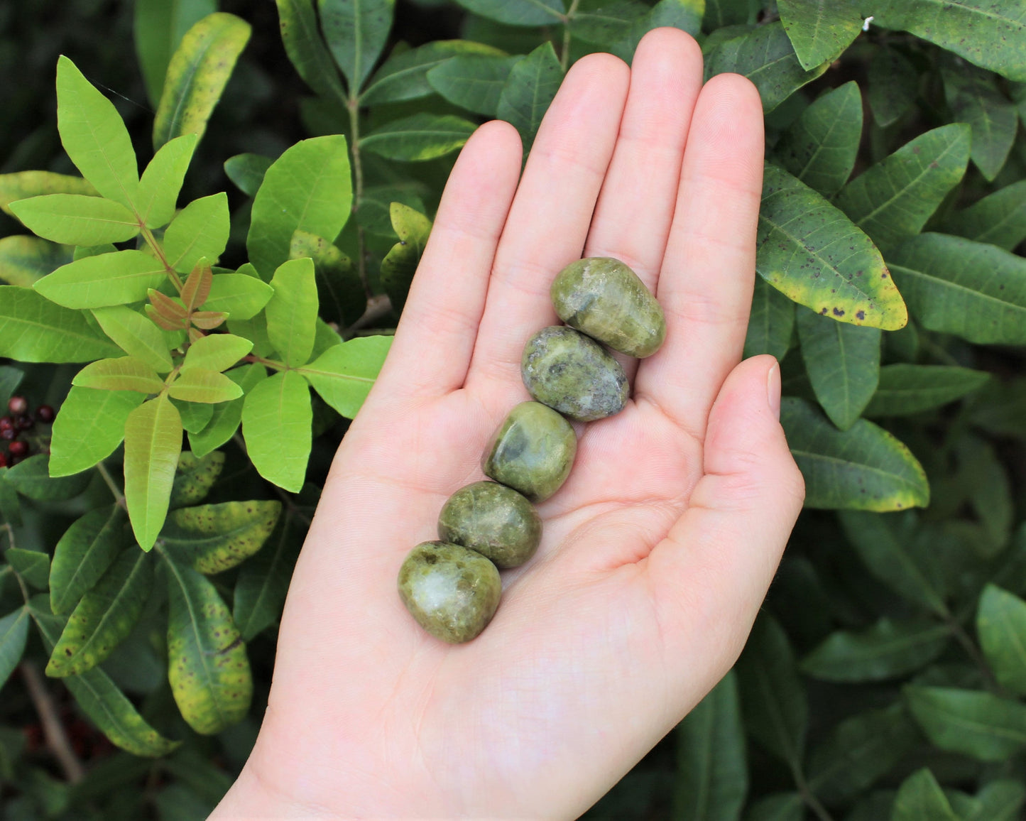 Vesuvianite Tumbled Stones