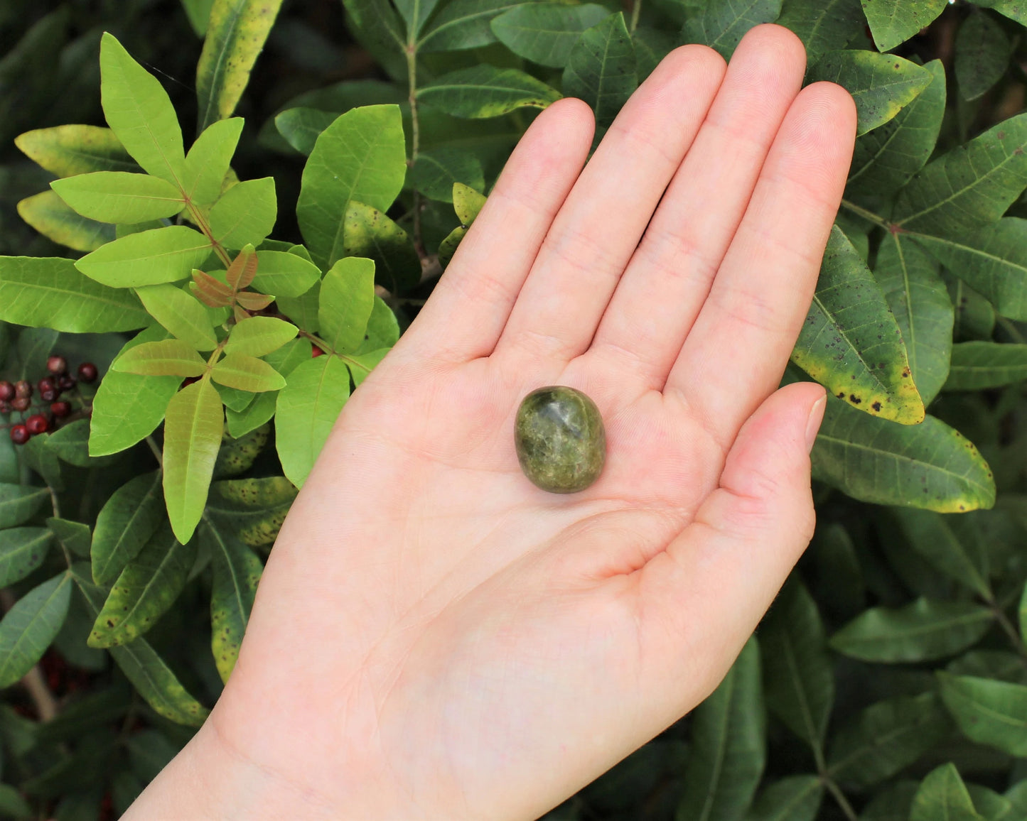 Vesuvianite Tumbled Stones