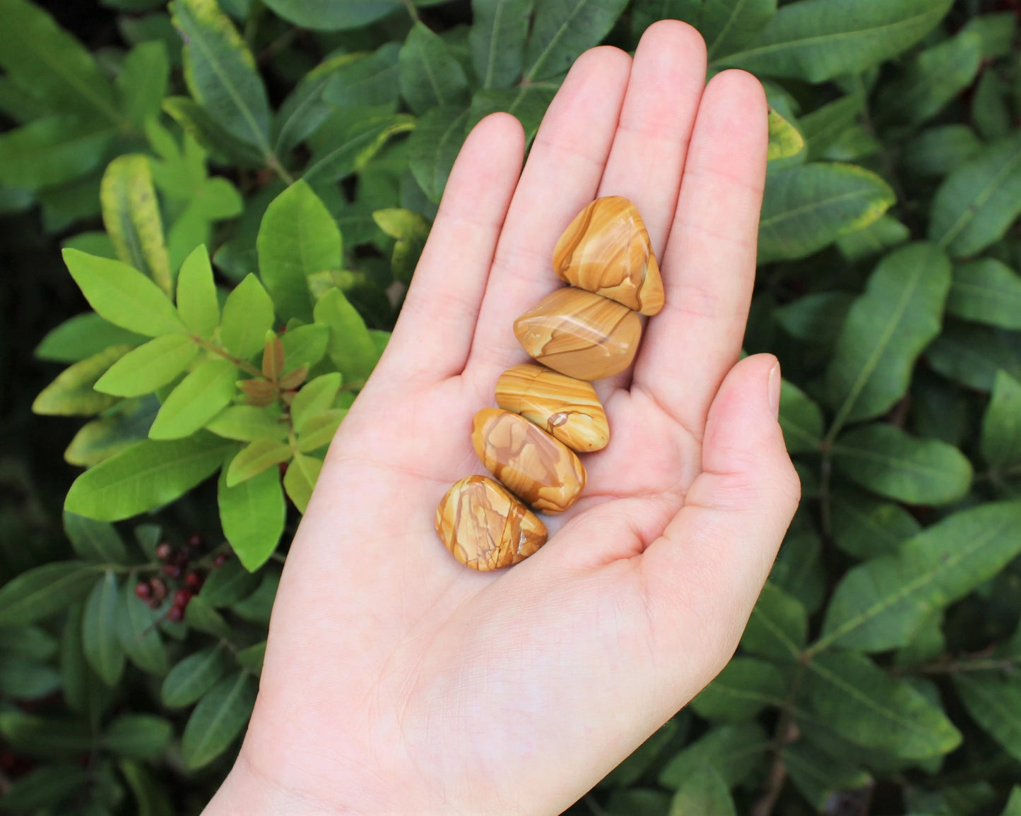 Walnut Jasper Tumbled Crystals