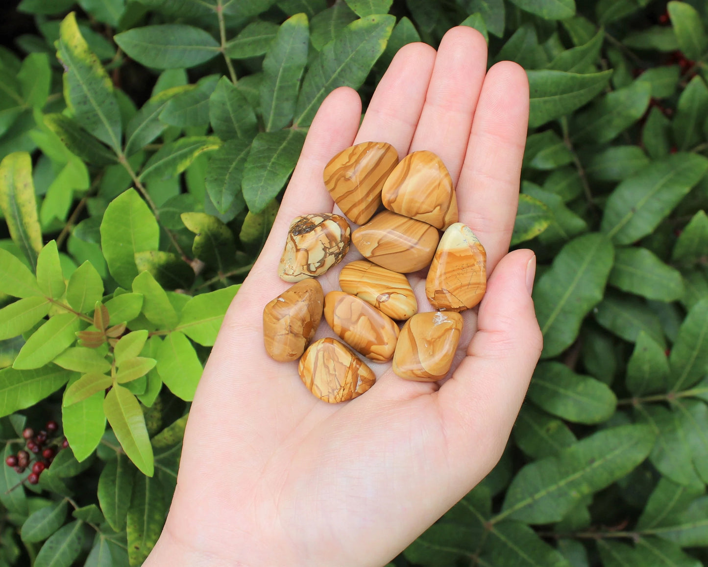 Walnut Jasper Tumbled Crystals