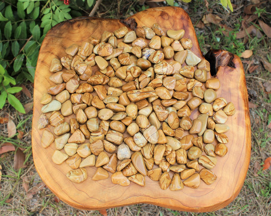 Walnut Jasper Tumbled Crystals