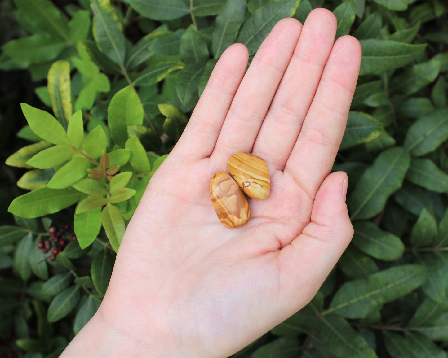 Walnut Jasper Tumbled Stones