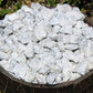 Elegant Howlite Rough Natural Stones