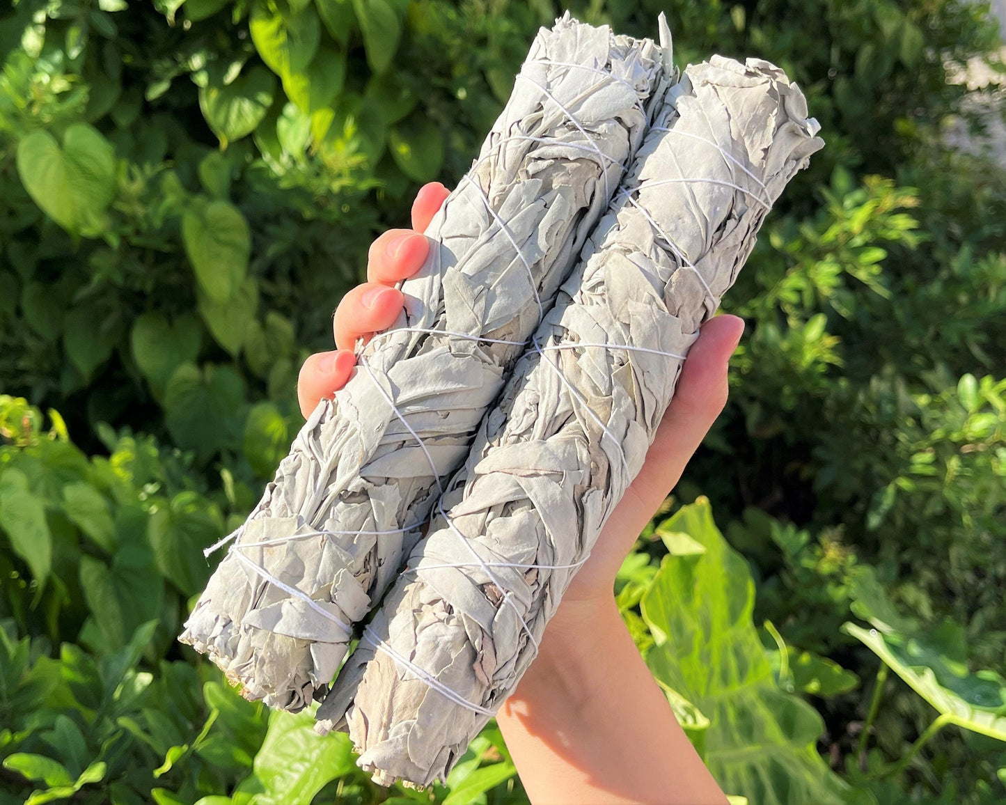 Sage Smudge Sticks Set