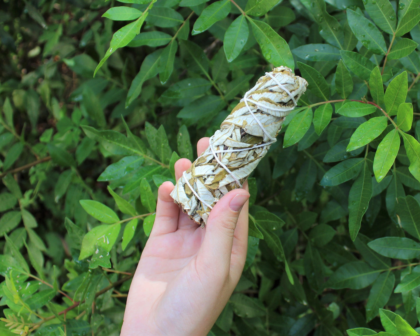 Yerba Santa Smudge Stick