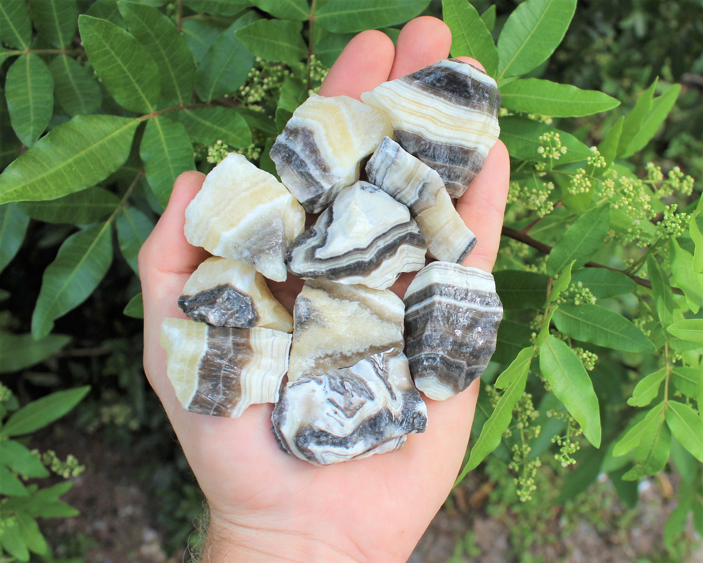 Zebra Calcite Rough Natural Grade Stones