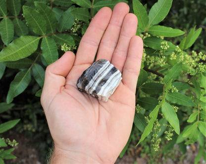 Zebra Calcite Rough Natural Stones