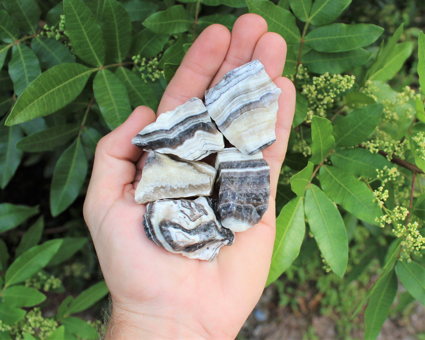 Zebra Calcite Rough Natural Stones