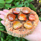 Carnelian Gemstone