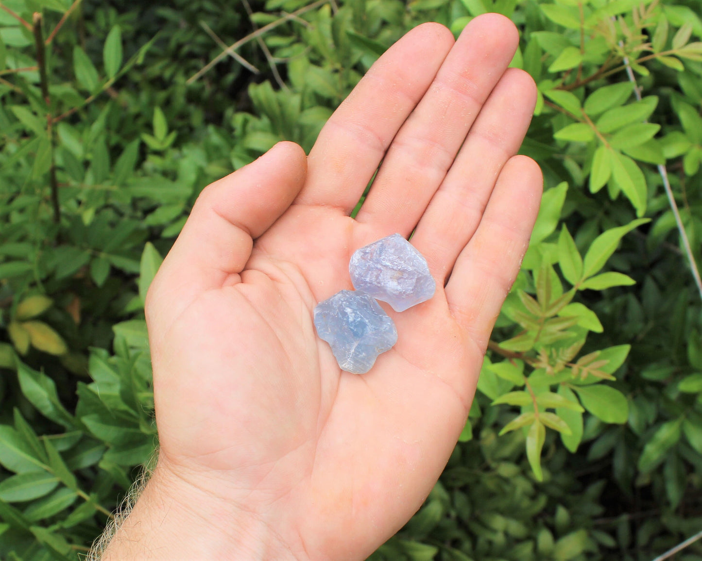 Celestite Rough Pieces