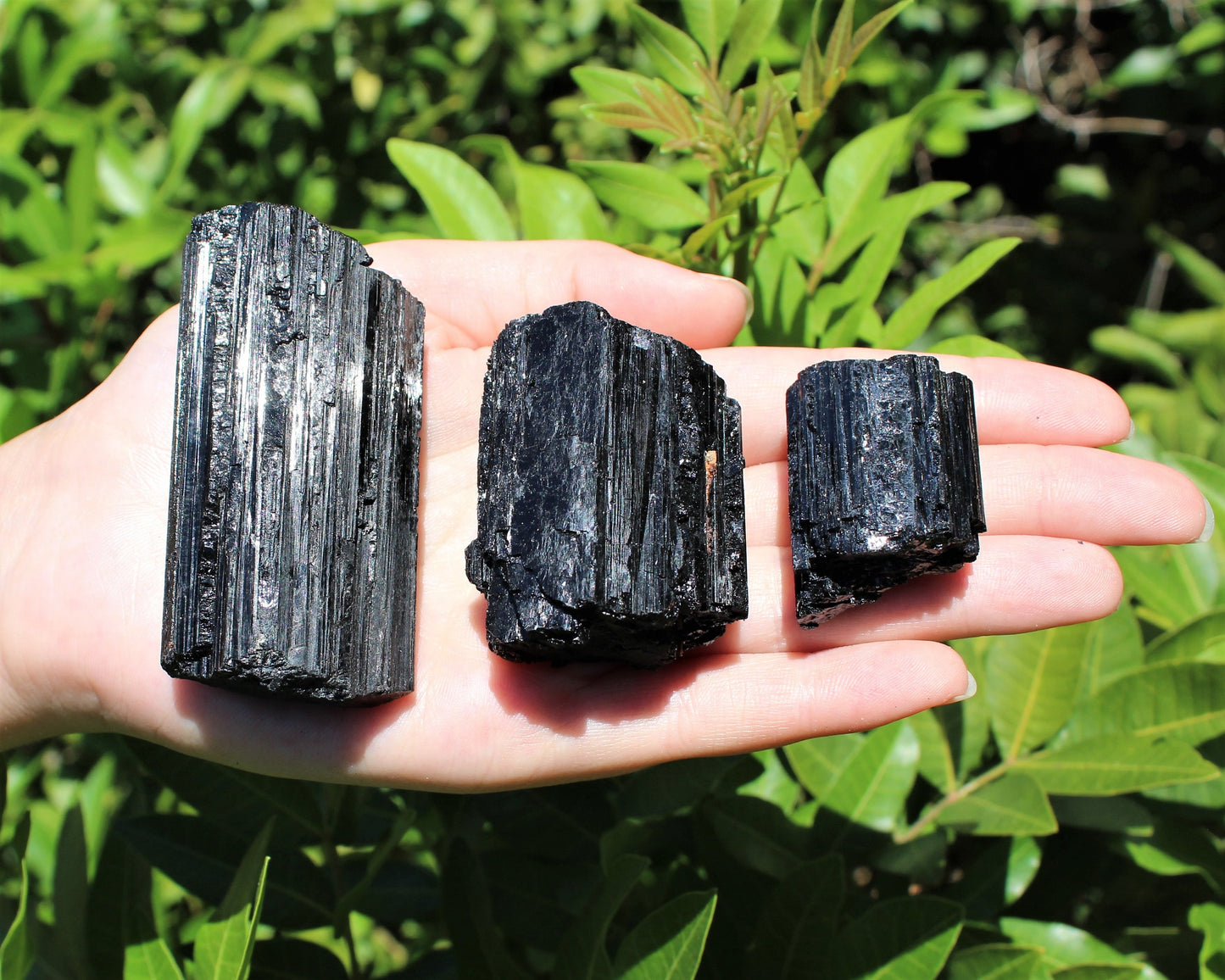 Dark Tourmaline Log Protection Crystal