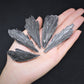 Natural Dark Kyanite Blades