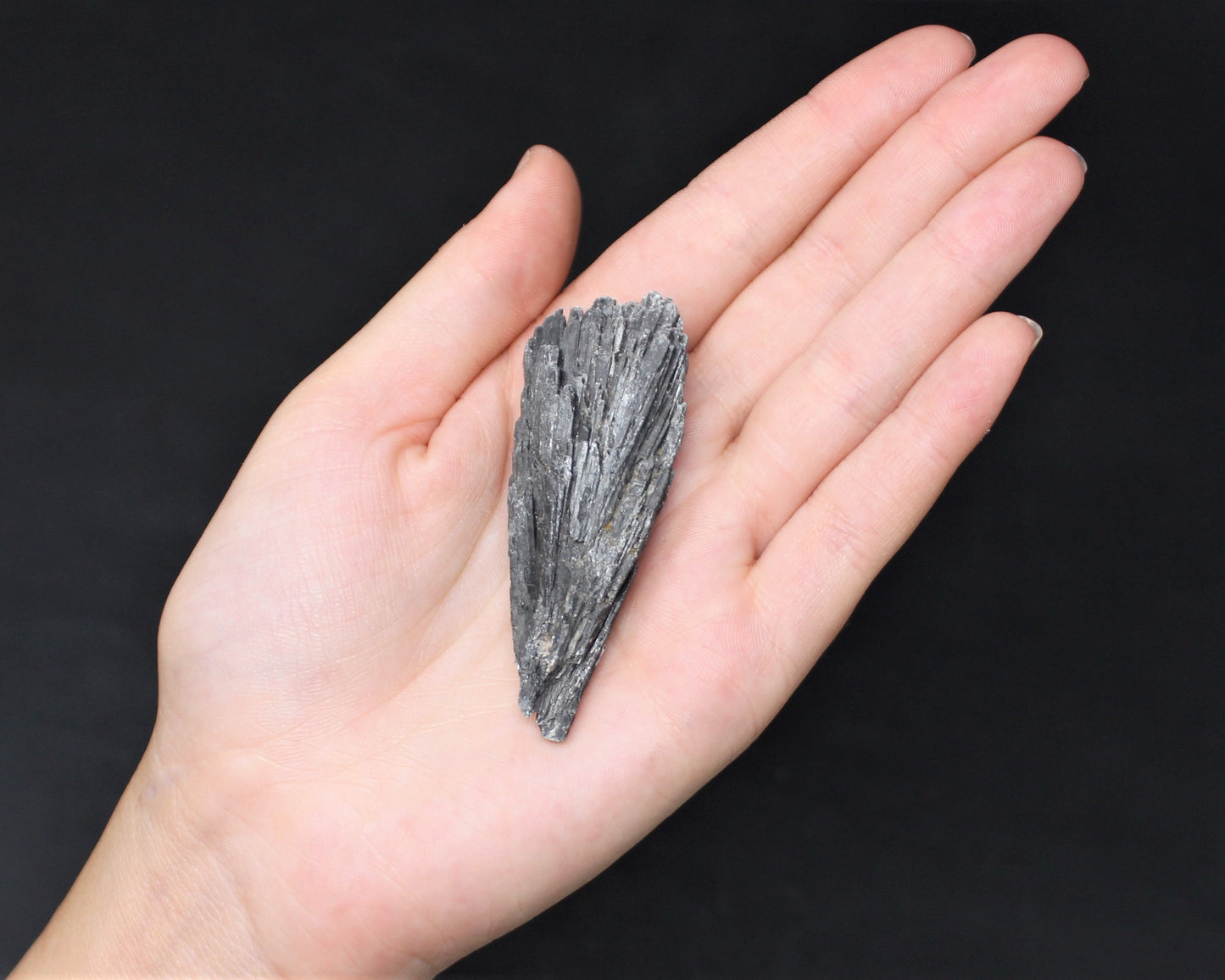 Natural Dark Kyanite Blades