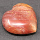 Petrified Wood Carved Puffed Gemstone