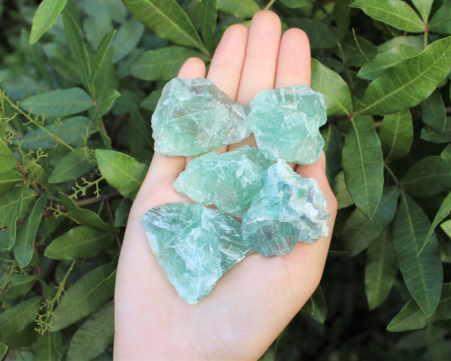 Light Fluorite Raw Natural Stones