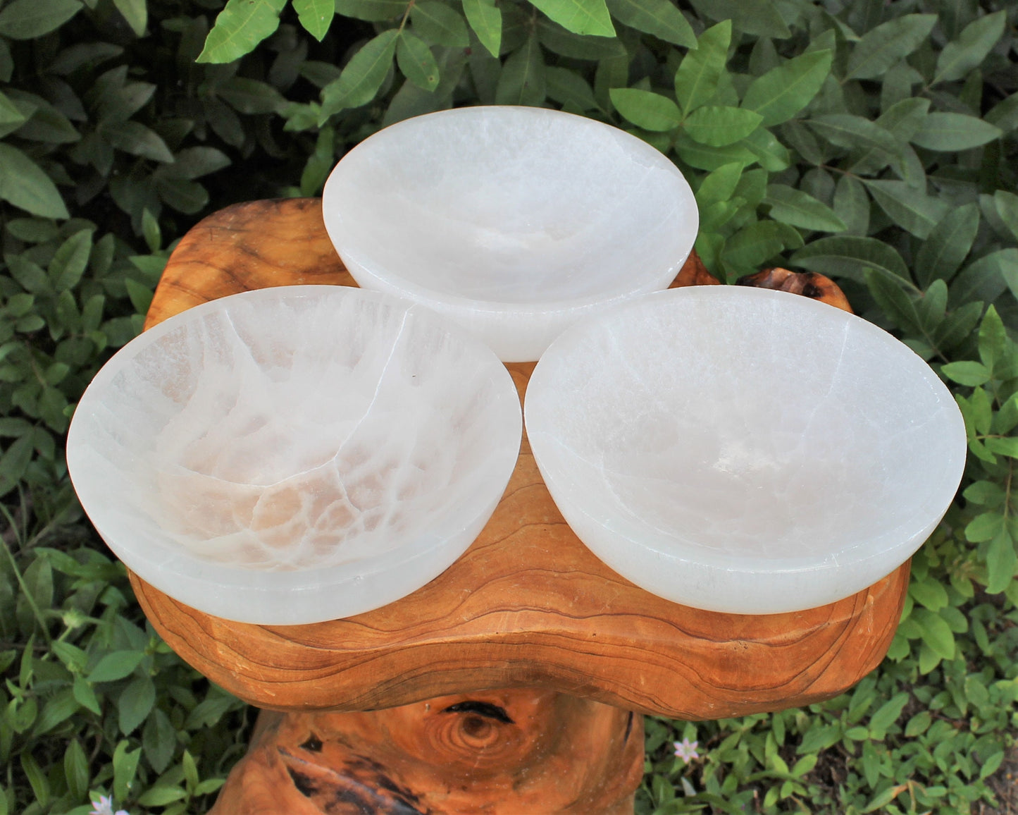 Huge Selenite Charging Bowl