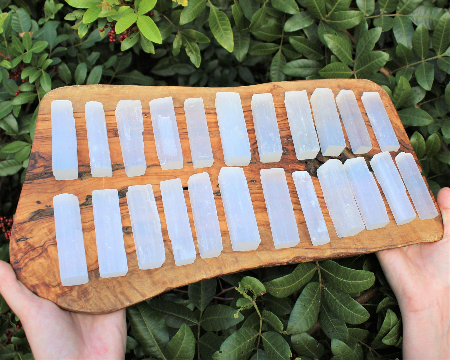 Meditation Selenite Sticks