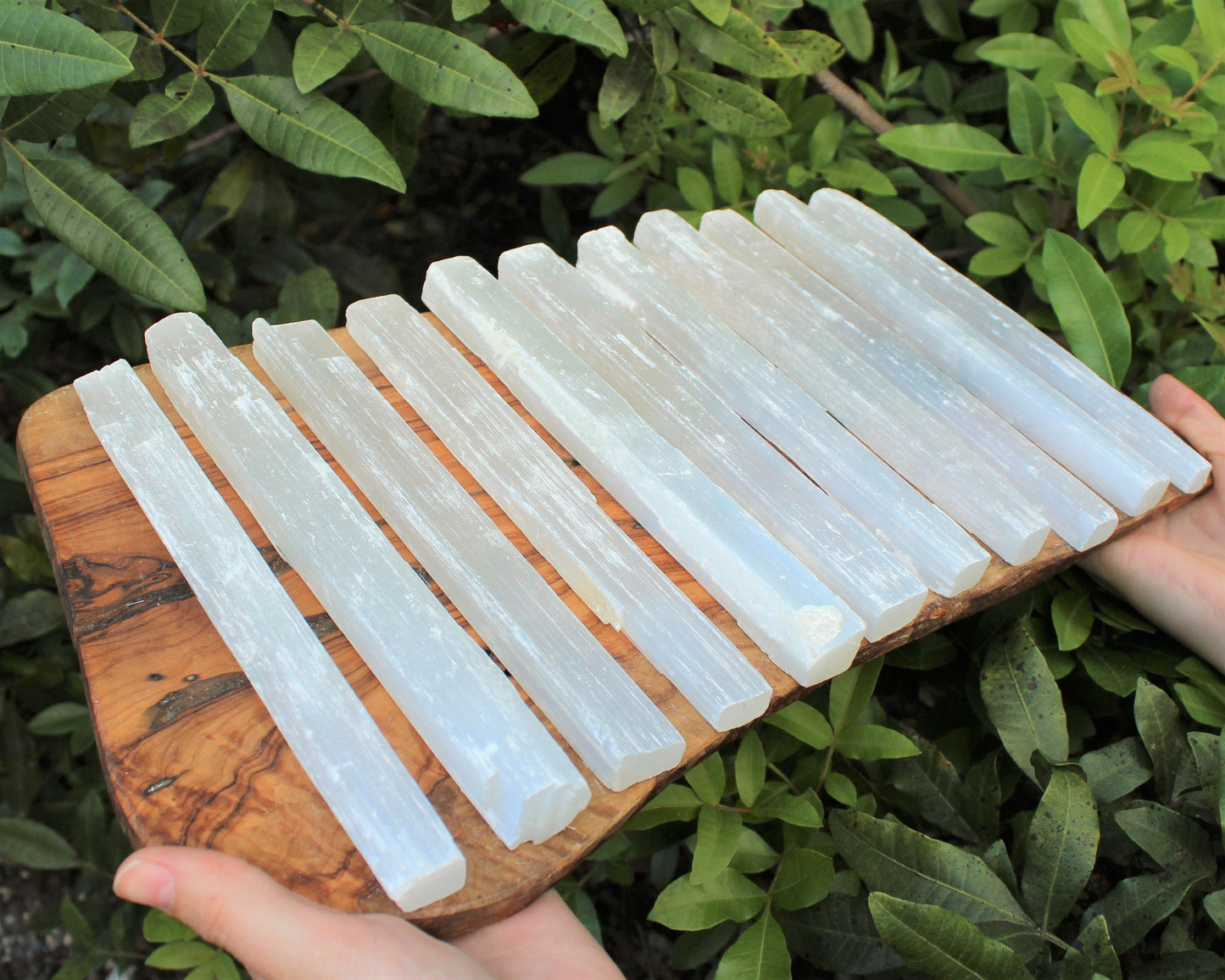 8 Inch Selenite Sticks