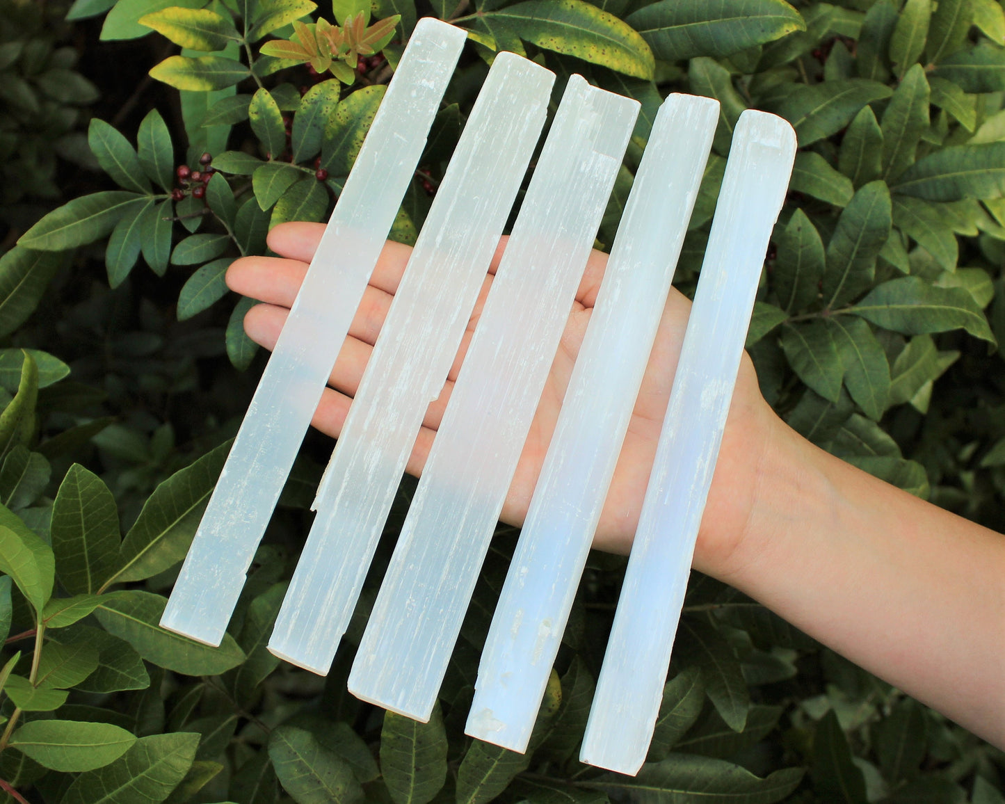 8 Inch Selenite Sticks