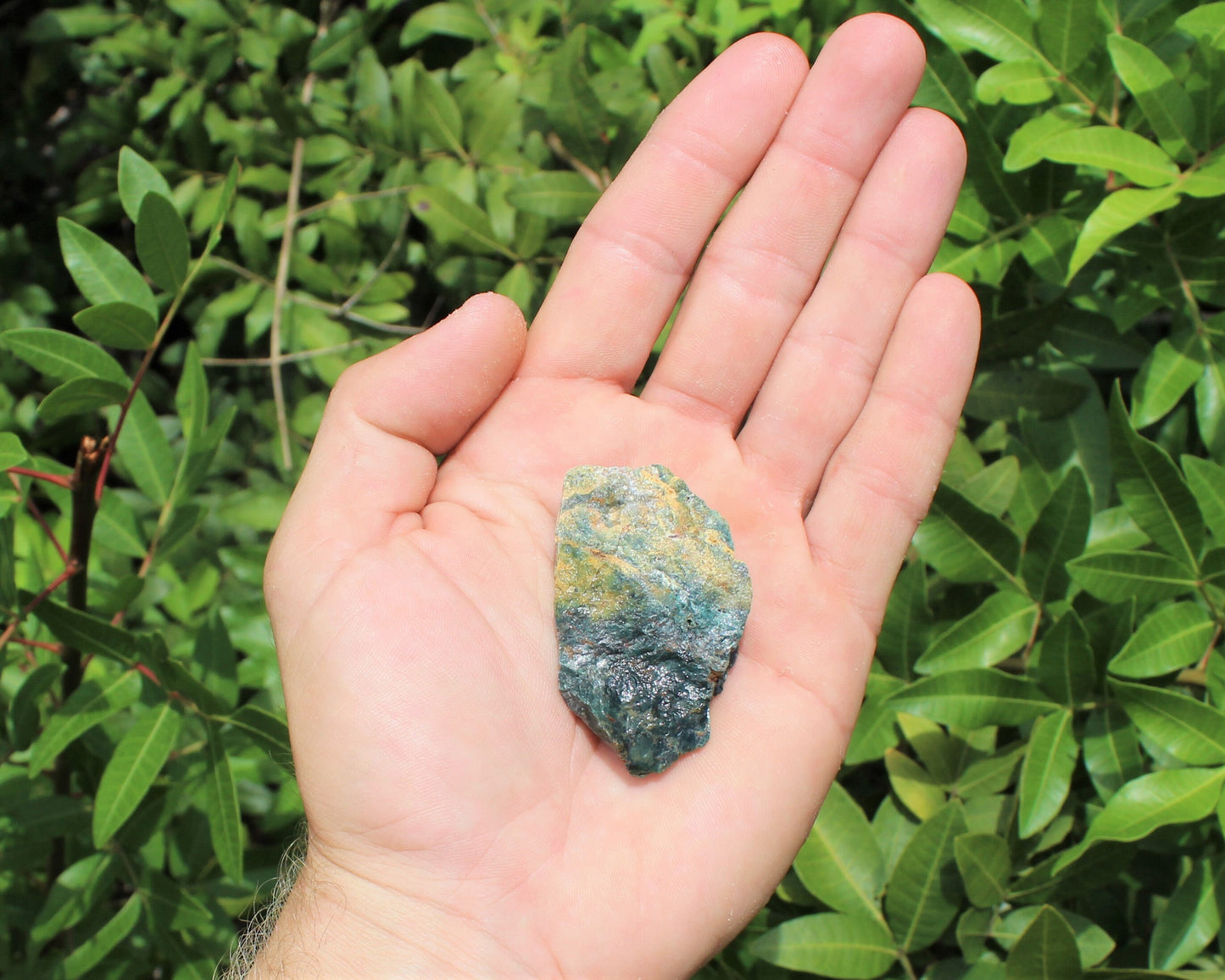 Sea Jasper Rough Natural Stones