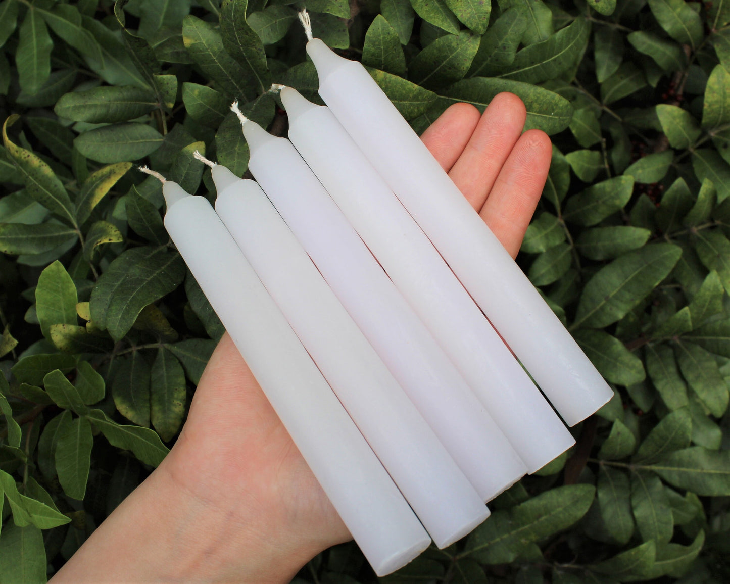 Taper Paraffin Candles