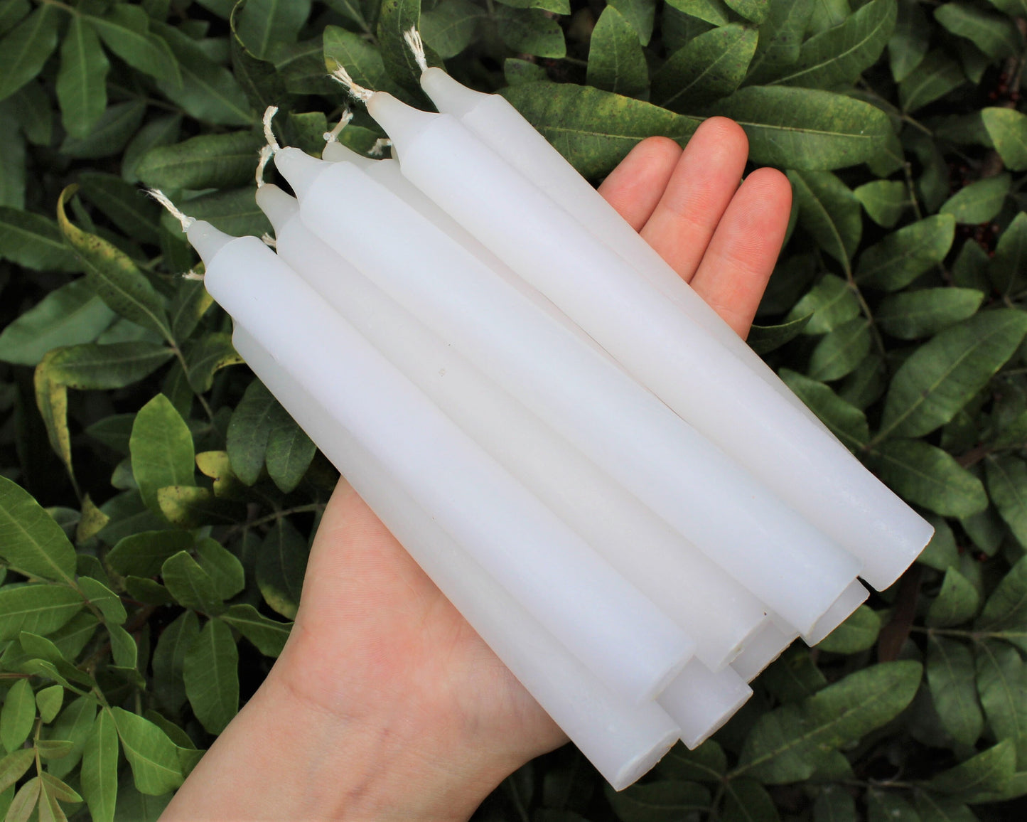 Taper Paraffin Candles