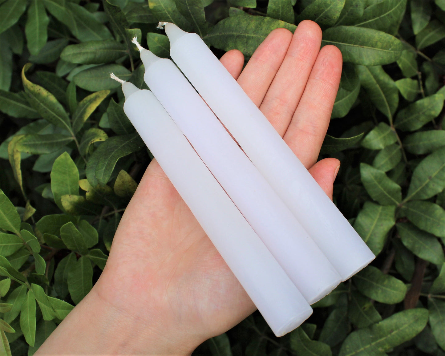 Taper Paraffin Candles