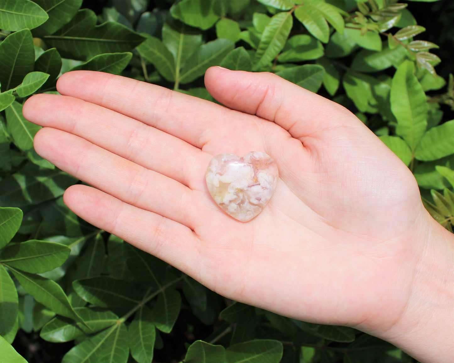 Flower Agate Gemstone