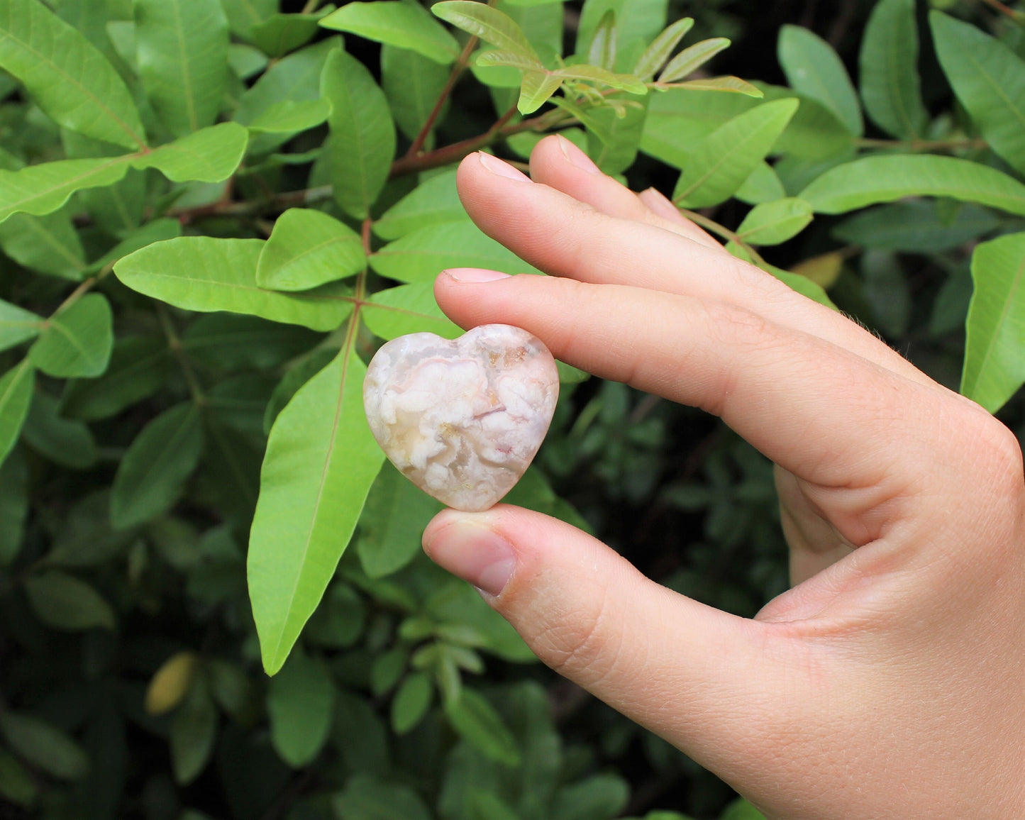 Flower Agate Gemstone