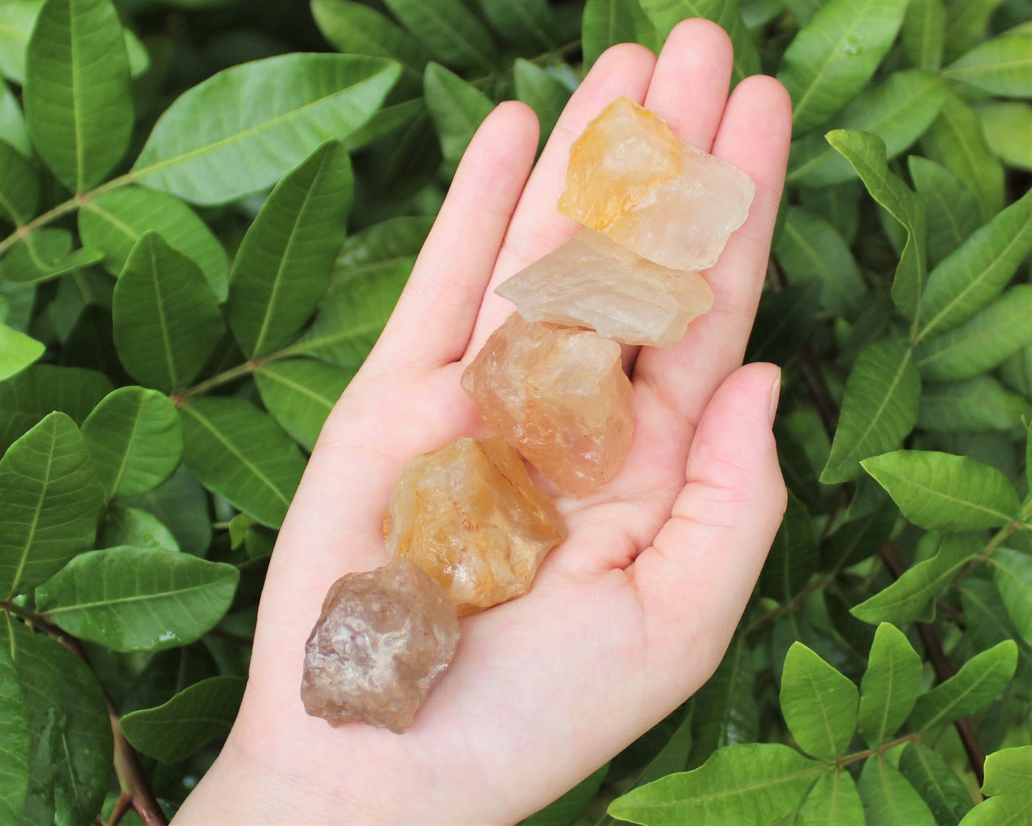 Healer Quartz Rough Natural Stones