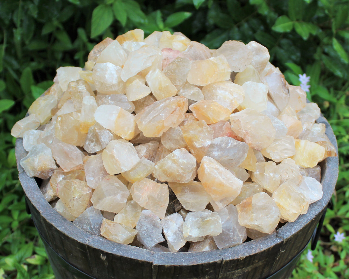 Healer Quartz Rough Natural Stones