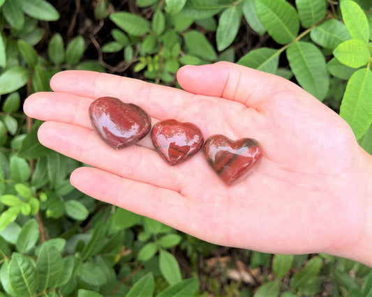 Petrified Wood Carved Puffed Gemstone