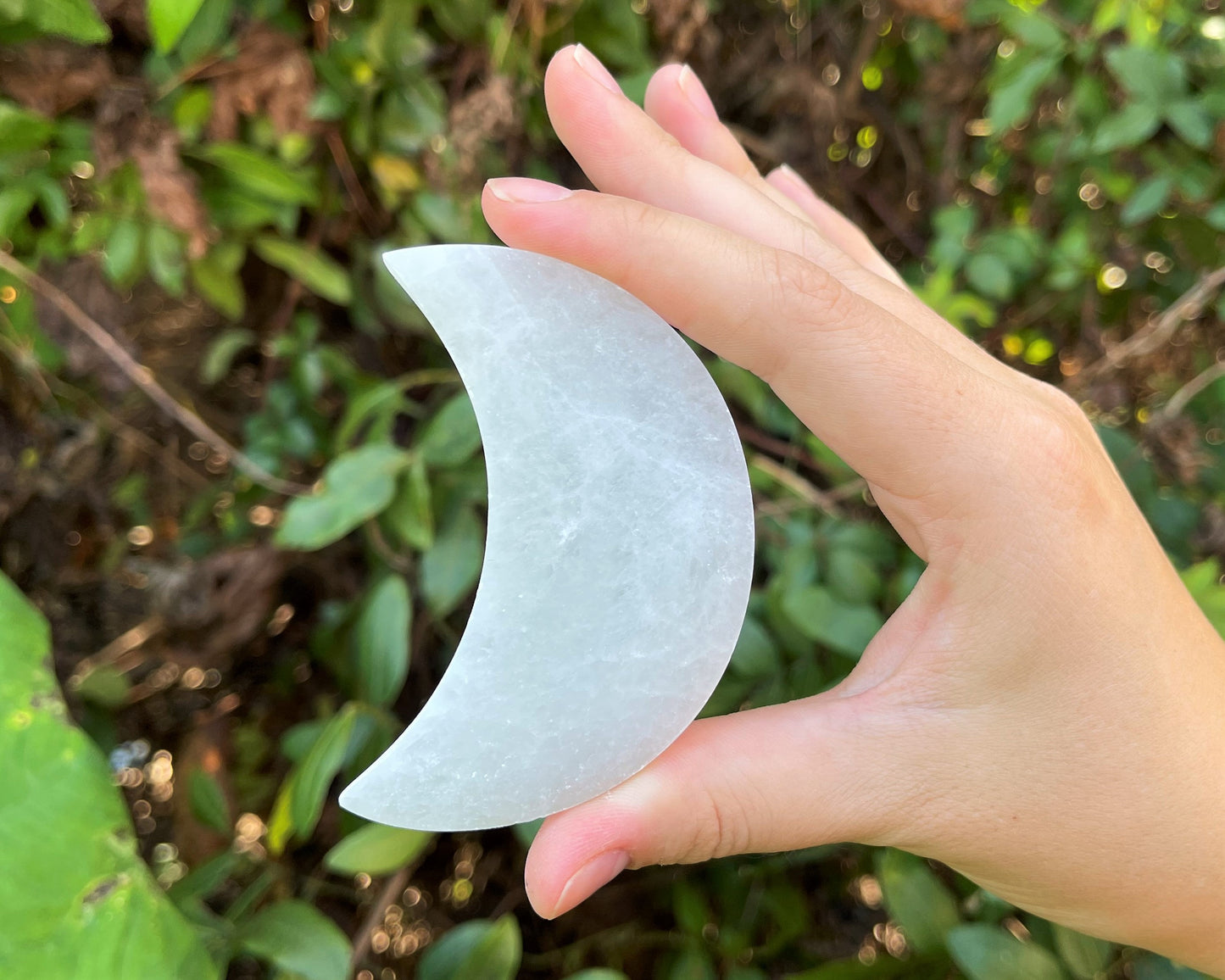 Polished Selenite Moon Shaped Crystal Plate