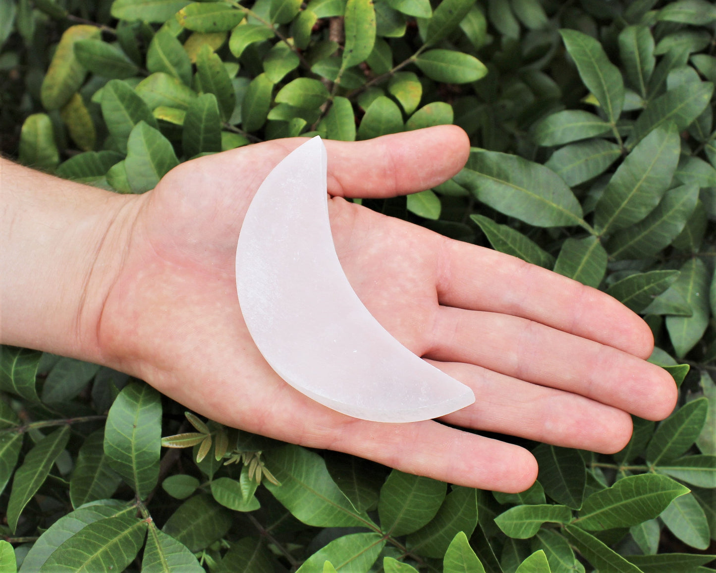 Polished Selenite Moon Shaped Crystal Plate