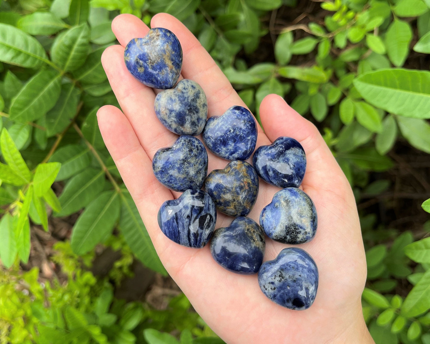 Sodalite Carved Puffed Gemstone